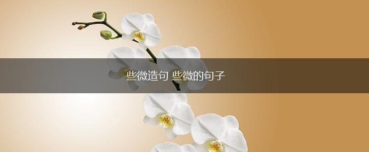 些微造句 些微的句子,第1张