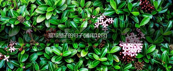 描写屋子的句子(通用10句),第1张