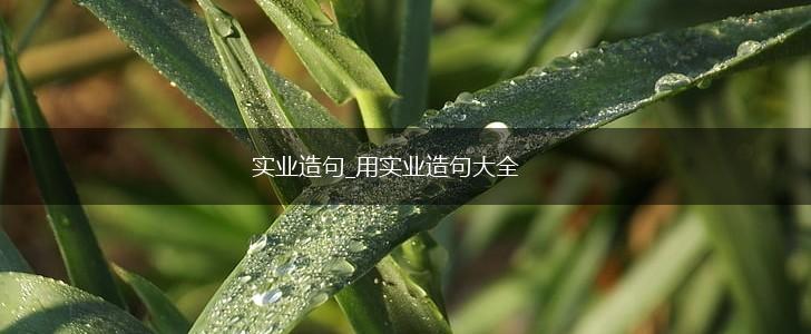 实业造句_用实业造句大全,第1张 实业造句_用实业造句大全,第1张