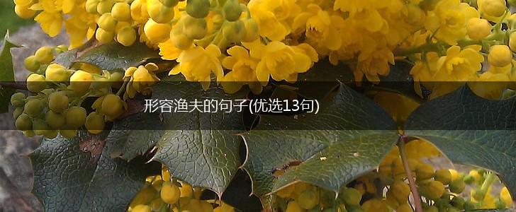 形容渔夫的句子(优选13句),第1张