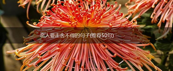 恋人要走舍不得的句子(推荐50句),第1张