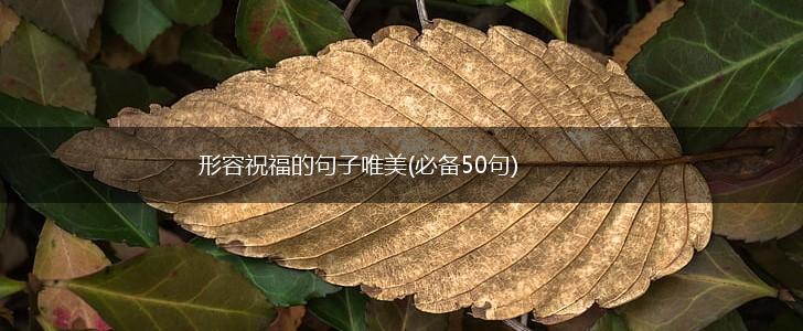 形容祝福的句子唯美(必备50句),第1张