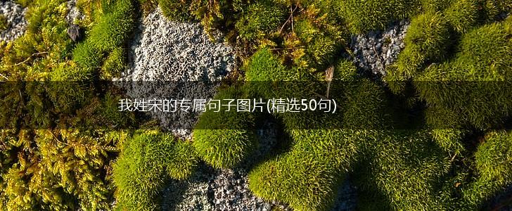我姓宋的专属句子图片(精选50句),第1张