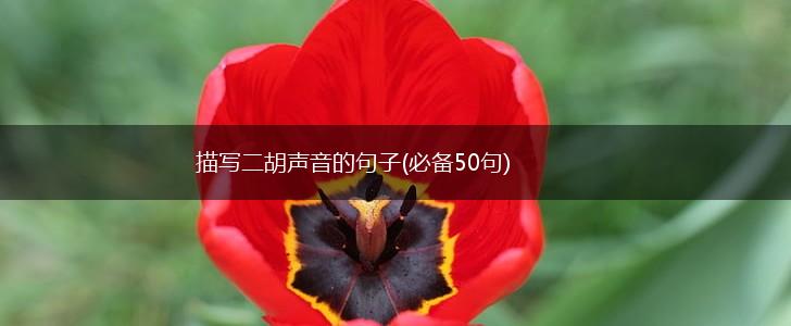 描写二胡声音的句子(必备50句),第1张