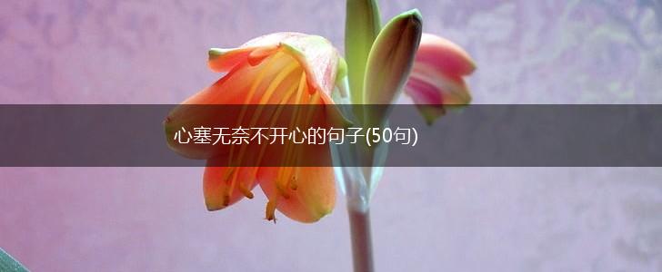 心塞无奈不开心的句子(50句),第1张