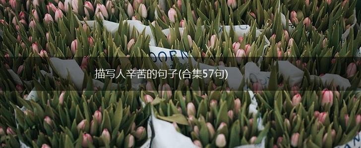 描写人辛苦的句子(合集57句),第1张