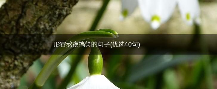 形容熬夜搞笑的句子(优选40句),第1张