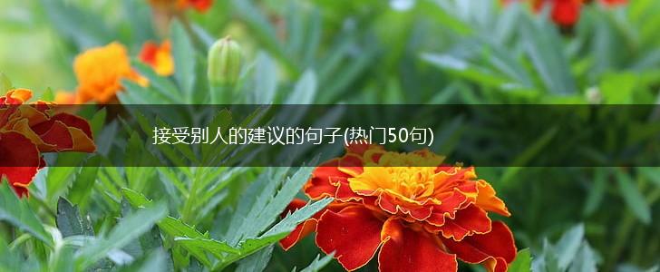 接受别人的建议的句子(热门50句),第1张
