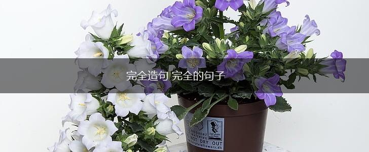 完全造句 完全的句子,第1张 完全造句 完全的句子,第1张