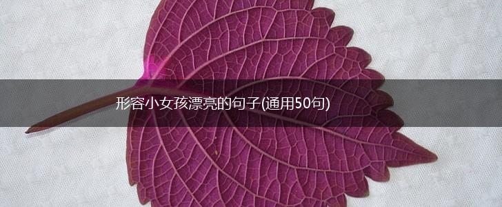 形容小女孩漂亮的句子(通用50句),第1张