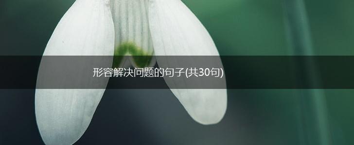 形容解决问题的句子(共30句),第1张