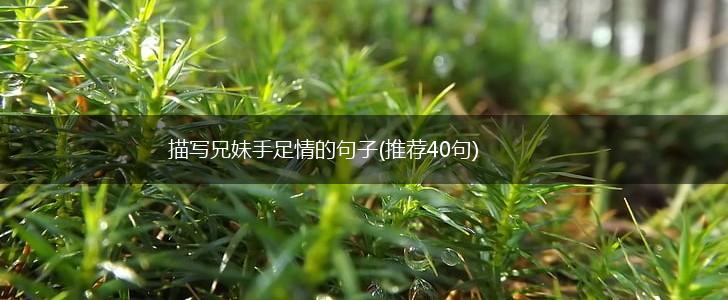 描写兄妹手足情的句子(推荐40句),第1张