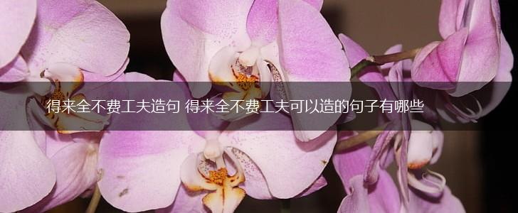 得来全不费工夫造句 得来全不费工夫可以造的句子有哪些,第1张