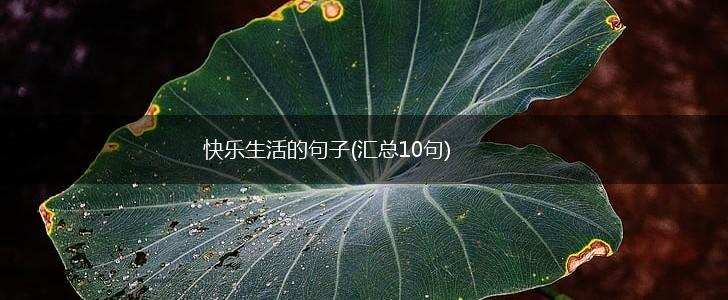 快乐生活的句子(汇总10句),第1张