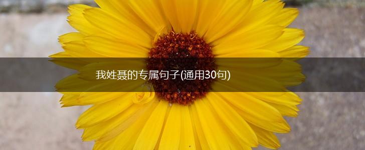 我姓聂的专属句子(通用30句),第1张