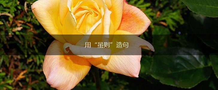 用“虽则”造句,第1张 用“虽则”造句,第1张