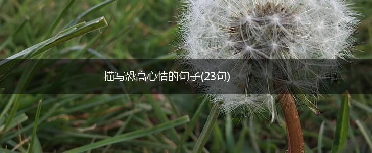 描写恐高心情的句子(23句),第1张