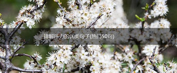 排解压力的优美句子(热门50句),第1张