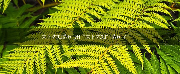 未卜先知造句_用“未卜先知”造句子,第1张 未卜先知造句_用“未卜先知”造句子,第1张