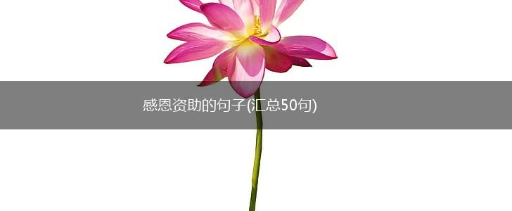 感恩资助的句子(汇总50句),第1张