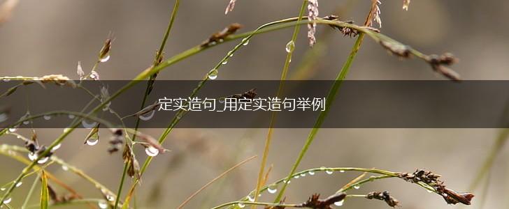 定实造句_用定实造句举例,第1张