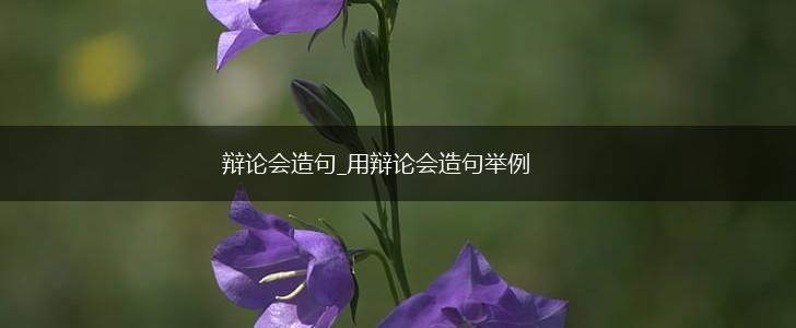 辩论会造句_用辩论会造句举例,第1张 辩论会造句_用辩论会造句举例,第1张