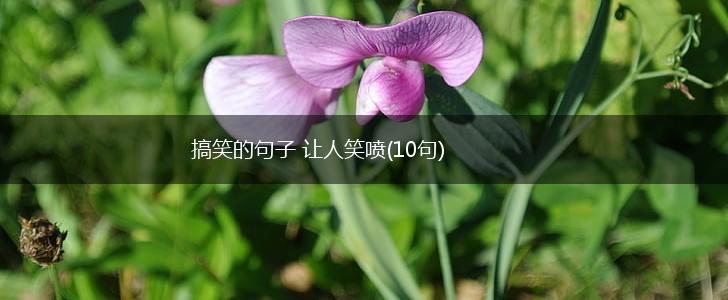 搞笑的句子 让人笑喷(10句),第1张