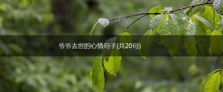 爷爷去世的心情句子(共20句),第1张