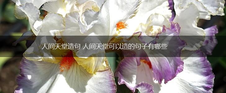 人间天堂造句 人间天堂可以造的句子有哪些,第1张