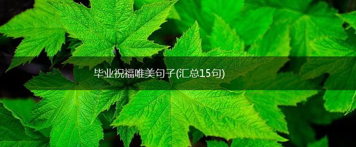 毕业祝福唯美句子(汇总15句),第1张