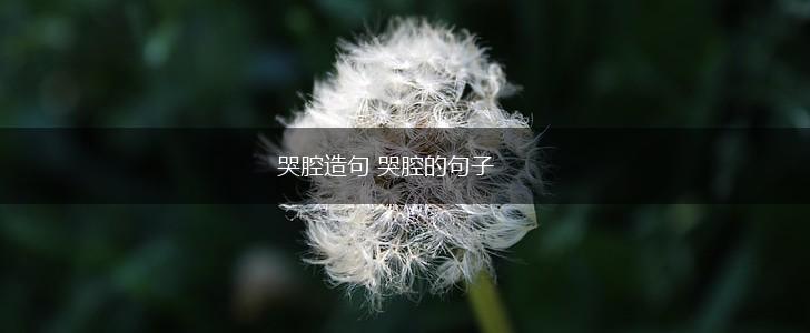 哭腔造句 哭腔的句子,第1张 哭腔造句 哭腔的句子,第1张