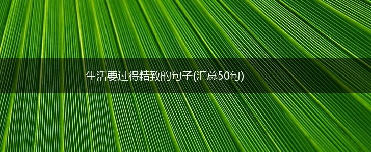 生活要过得精致的句子(汇总50句),第1张