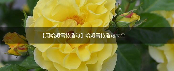 【用哈姆雷特造句】哈姆雷特造句大全,第1张