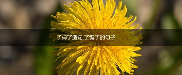 了得了造句,了得了的句子,第1张
