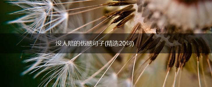 没人陪的伤感句子(精选20句),第1张