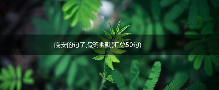 晚安的句子搞笑幽默(汇总50句),第1张