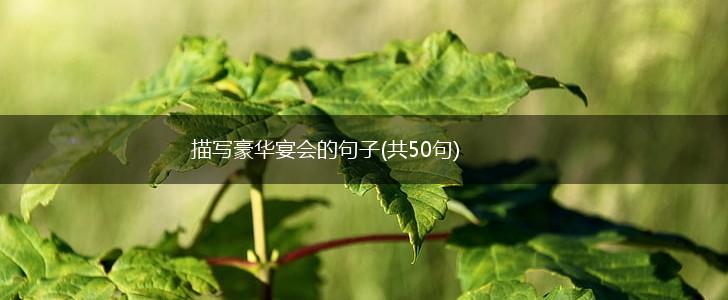 描写豪华宴会的句子(共50句),第1张