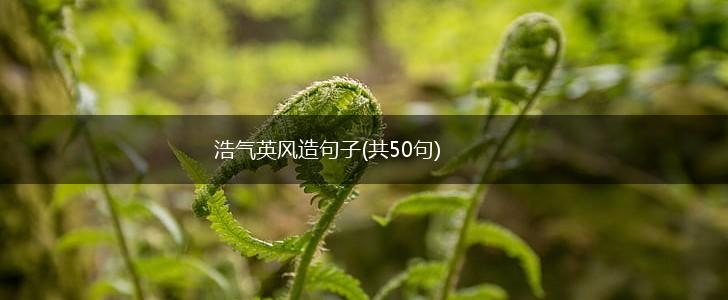 浩气英风造句子(共50句),第1张
