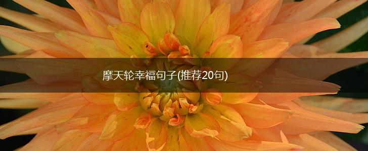 摩天轮幸福句子(推荐20句),第1张