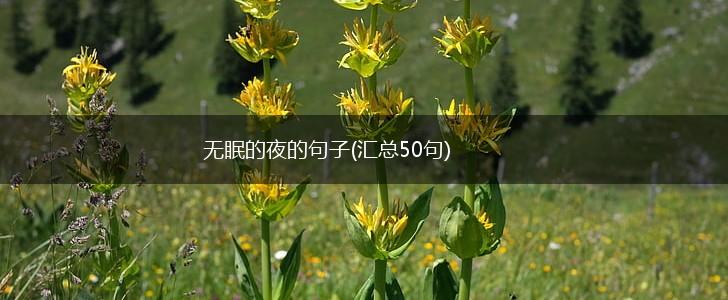 无眠的夜的句子(汇总50句),第1张