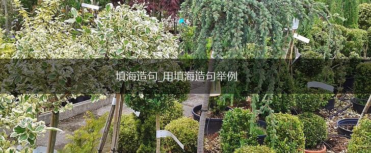 填海造句_用填海造句举例,第1张 填海造句_用填海造句举例,第1张