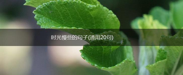 时光慢些的句子(通用20句),第1张