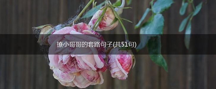 撩小哥哥的套路句子(共51句),第1张