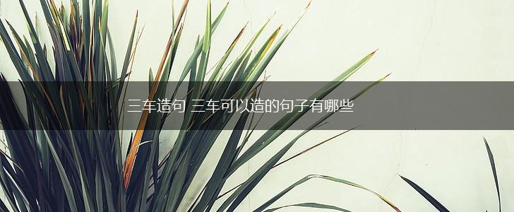 三车造句 三车可以造的句子有哪些,第1张