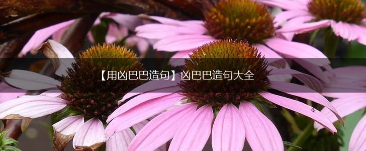 【用凶巴巴造句】凶巴巴造句大全,第1张 【用凶巴巴造句】凶巴巴造句大全,第1张