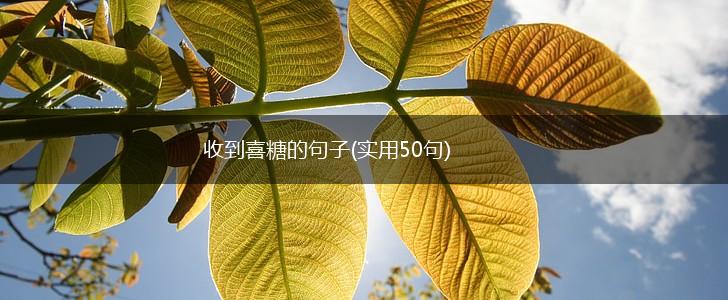 收到喜糖的句子(实用50句),第1张