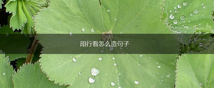 用行看怎么造句子,第1张
