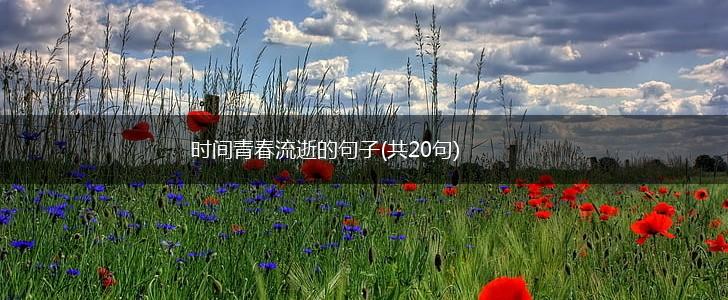 时间青春流逝的句子(共20句),第1张