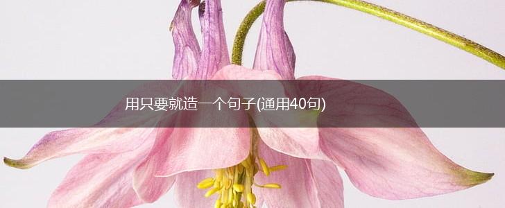 用只要就造一个句子(通用40句),第1张