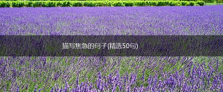 描写焦急的句子(精选50句),第1张
